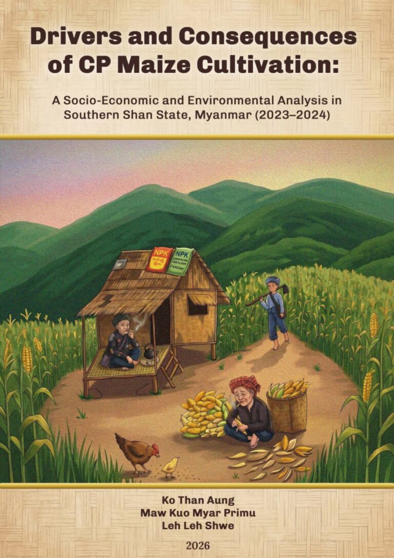 Drivers and Consequences of CP Maize Cultivation: A Socio-Economics and Environmental Analysis in Southern Shan State, Myanmar (2023-2024)